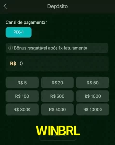 deposits WINBRL